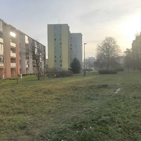 Terasa Capajevova 6