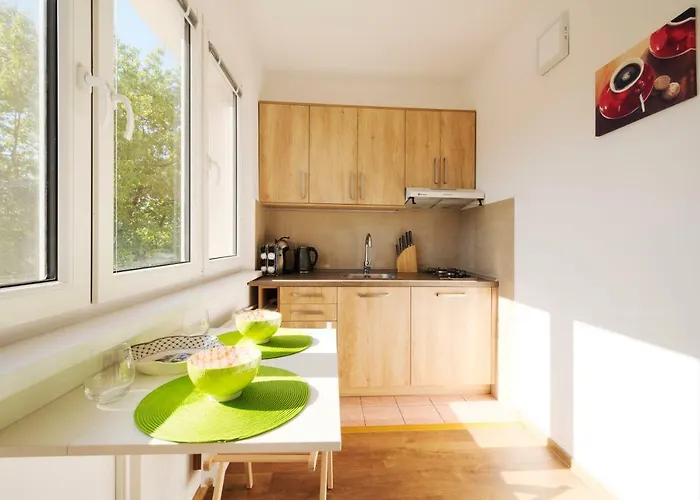 Terasa Capajevova 6 Appartamento *